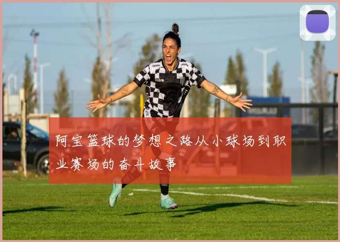 阿宝篮球的梦想之路从小球场到职业赛场的奋斗故事