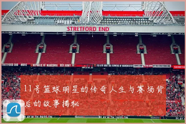 11号篮球明星的传奇人生与赛场背后的故事揭秘