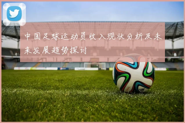 中国足球运动员收入现状分析及未来发展趋势探讨