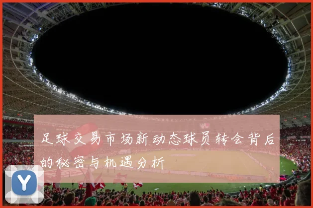 足球交易市场新动态球员转会背后的秘密与机遇分析