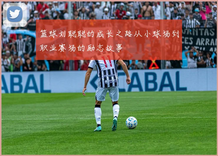 篮球刘聪聪的成长之路从小球场到职业赛场的励志故事